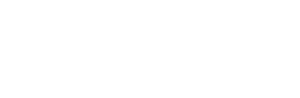 Portyx Wallet Logo